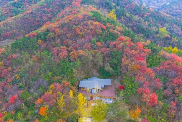 周末出发！济南这条自驾线路串起古建、名泉、红叶，美极了！