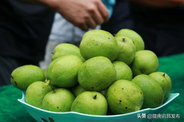 古韵新姿话成县：山水人文与产业的交响