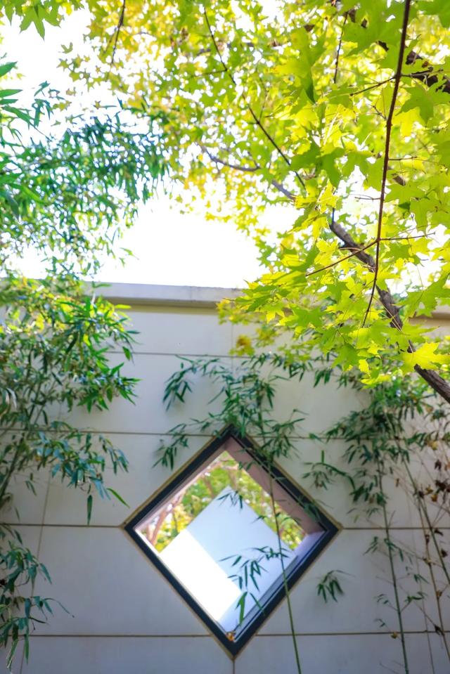 从从容容游刃有余！把江南的秋天“搬进”石景山——