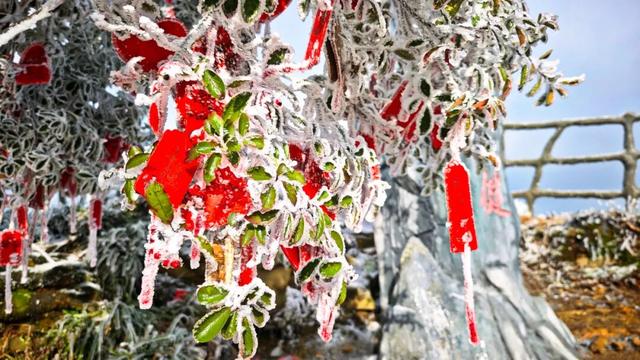 雪景 │ 美到词穷！仁怀首场雾凇惊艳上线