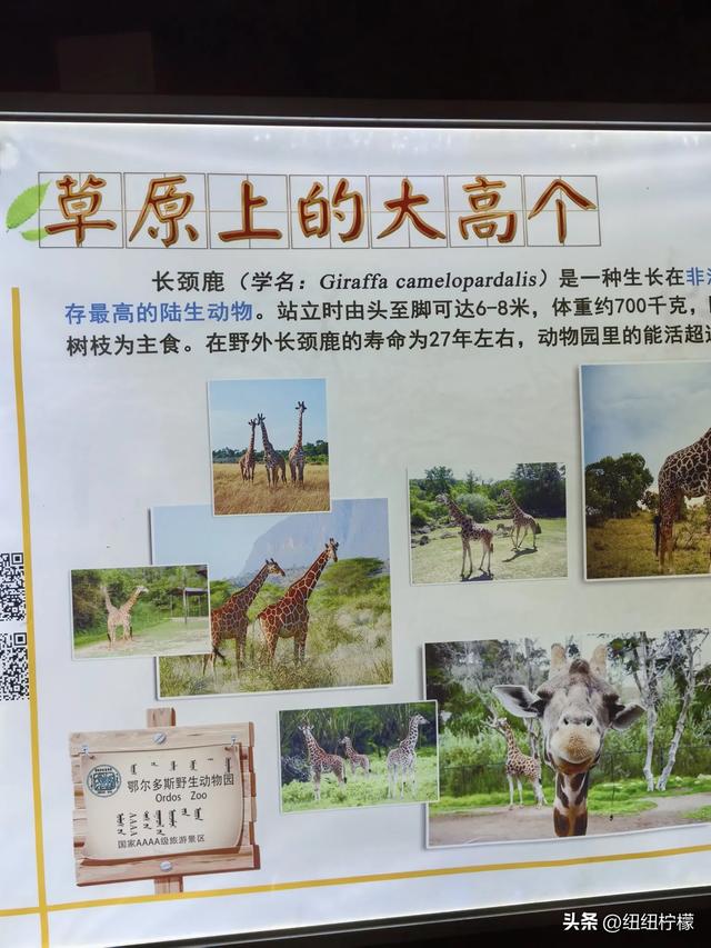 刚从内蒙古回来，在鄂尔多斯玩了多个景点，想说的话有很多