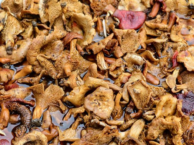 秋入皇藏峪，醉品蘑菇鸡：一段关于色彩与香气的记忆