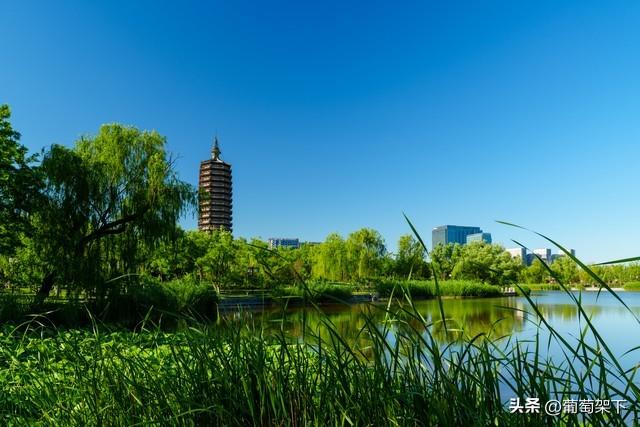 创投市场：探访北京通州大运河的文化符号