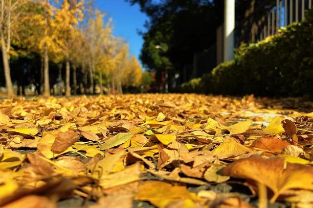 丹徒这几条路，真不想让太多人知道！