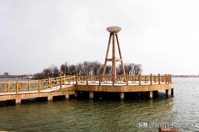 【马力全开贺新春】2026黄河口生态旅游区新春 游玩攻略！这里有N种玩法！