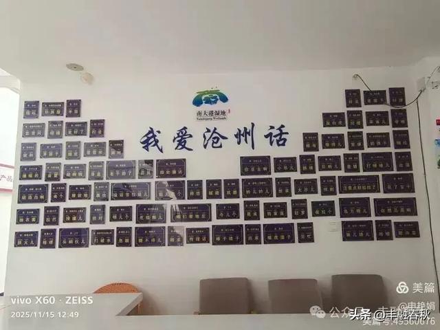 苇风载秋，鹤影映波——河北黄骅南大港湿地的初冬漫游｜ 申艳娟