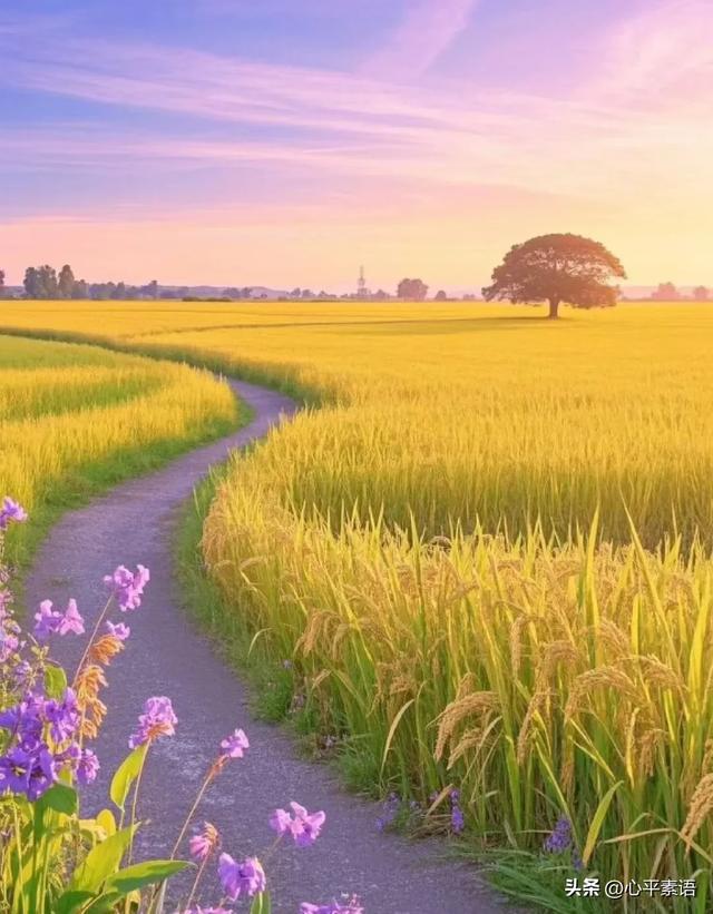 两性关系：55-65岁这十年，惜命的方式	，不是锻炼，是做好这6点