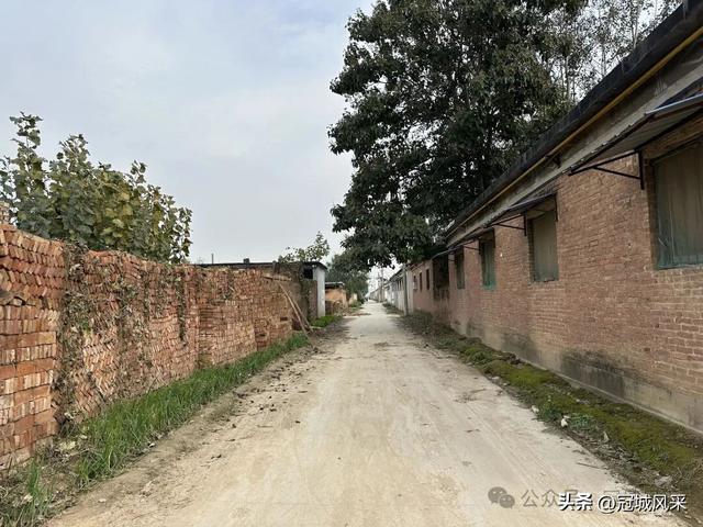 冠县乡韵·桑阿镇轧庄