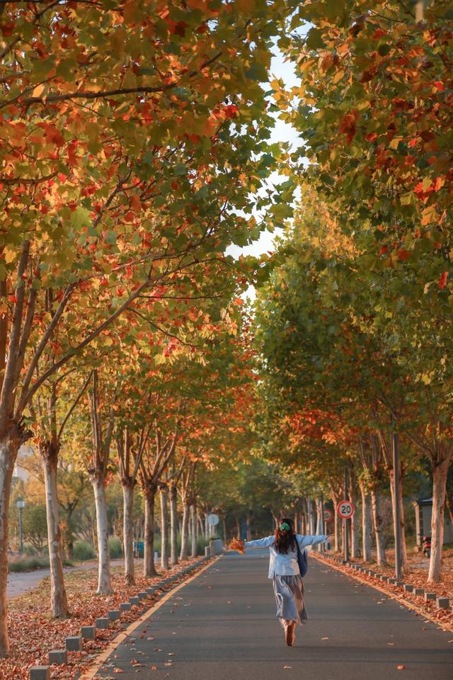 20个点位已公布!张家港人拍照请抓紧