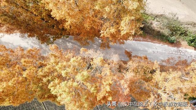 汉中洋西路自驾邂逅冬日限定美景！