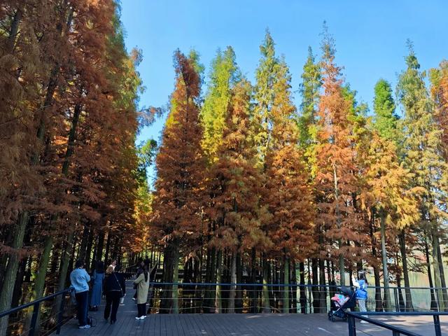 悦·遵义 | 美到犯规！播州这里藏着一个“油画世界”，随手一拍就是大片！