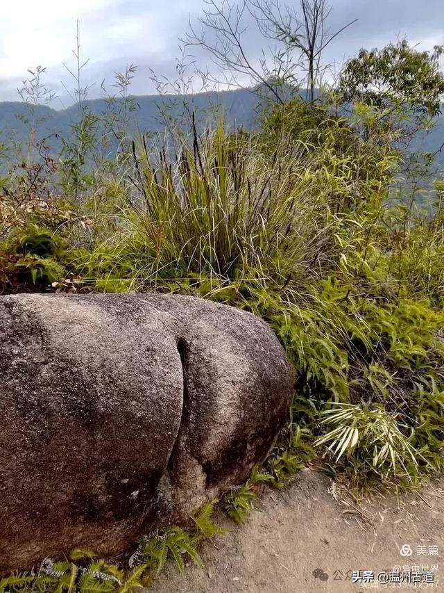 一步一景，奇石不断！温州这处奇石纷呈的的免费景区你可去过？