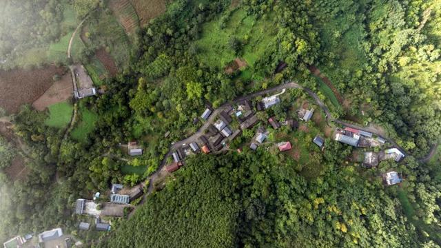 守护生态秘境——走进徽县三滩森林公园