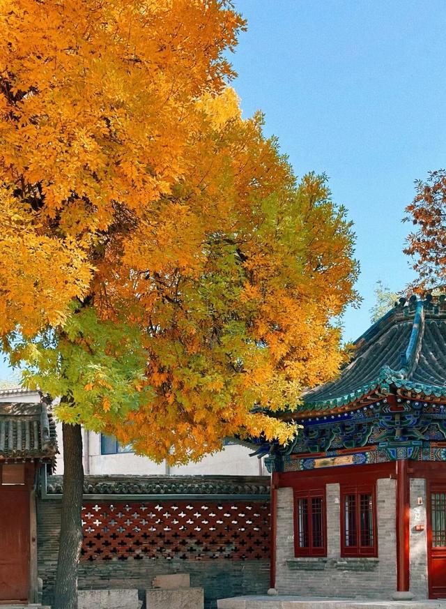 大理 ⇌太原 当凉鸡米线遇见打卤面