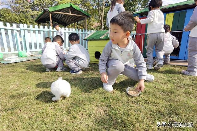 岭南冬如春，童趣蝶翩跹，学子来到佛山卡玛花世界开启蝴蝶研学