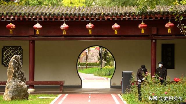【东方微笑 多彩麦积】麦积区马跑泉公园秋景如画 市民打卡邂逅限定浪漫