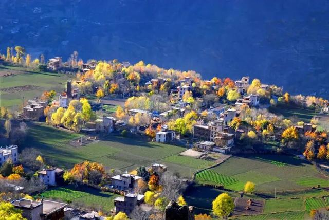 停停停！甘孜秋天美得太快了我看不过来