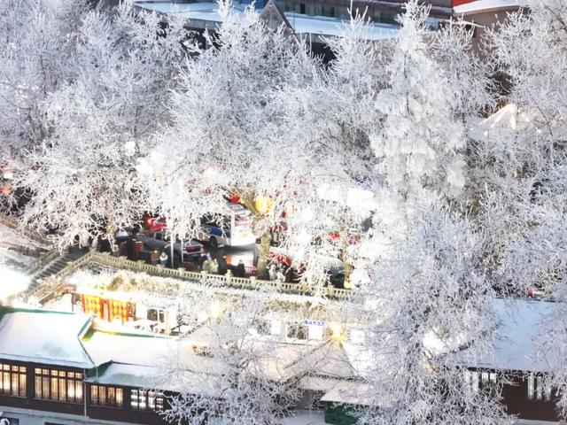 庐山雪白夕阳红：牯岭夜凇美如画