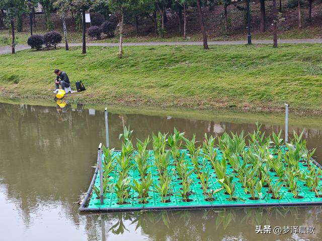 云梦生态浮岛的三重奏