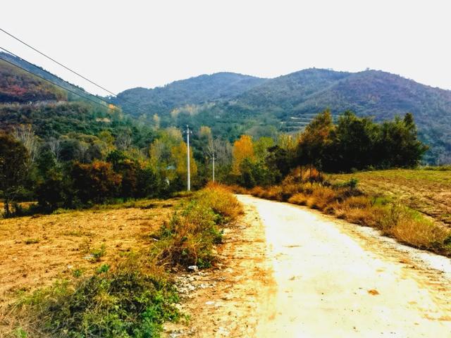 什么叫层林尽染？马谷田镇义和寨东边的堰塘寺告诉您！