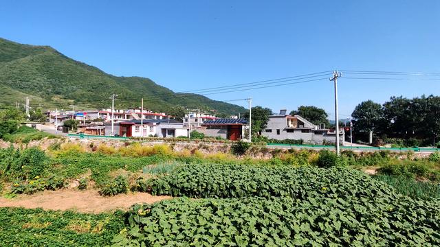 长峪村五峰山后山行记