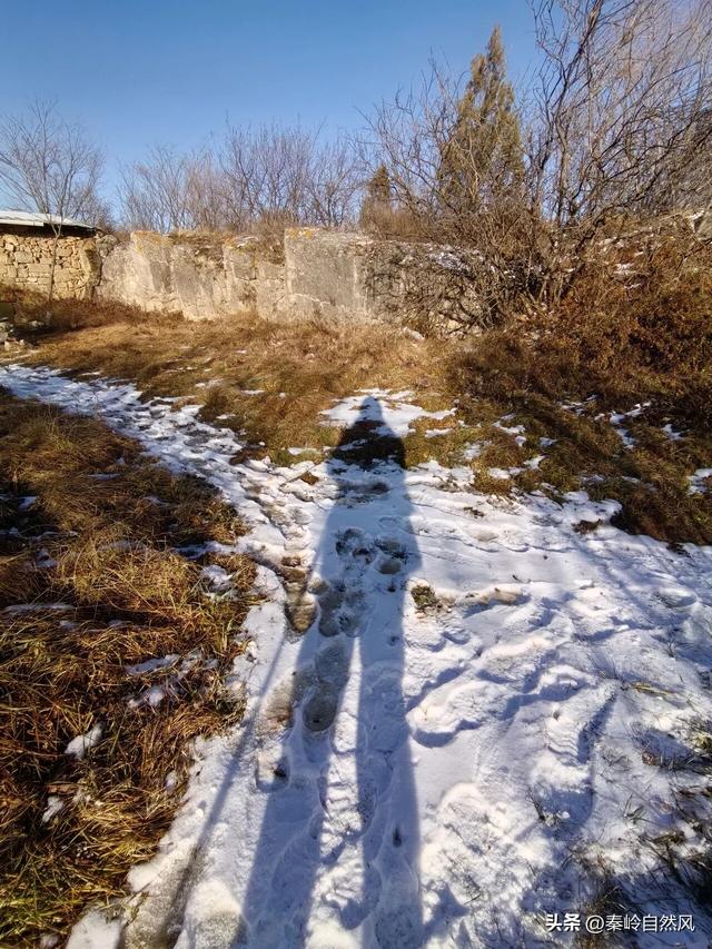 雪后初霁登顶嵯峨山，走荒野雪原，看千年悟空塔，感受历史的烟云