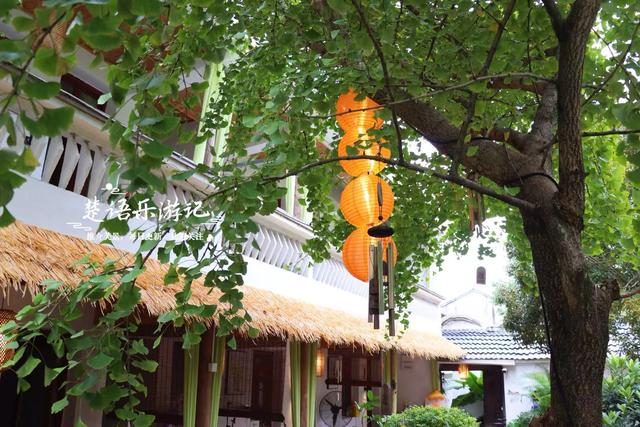 宁波奉化这个山岙藏着3家美宿，个个都很有艺术氛围，适合休闲游