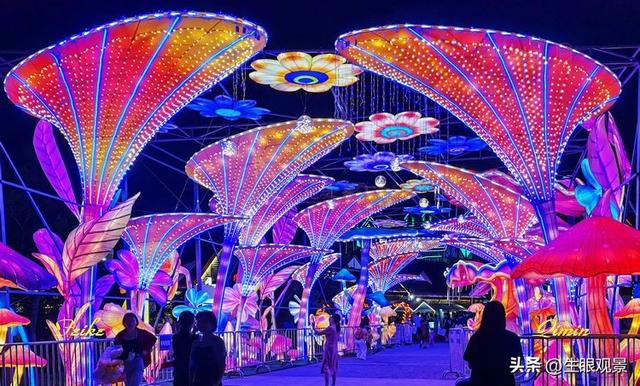 影记 | 2025青岛啤酒节掠影（下）