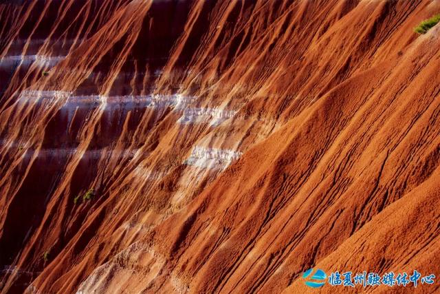 东乡大地的浪漫情书——“羊肉卷”