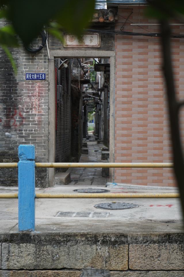 佛山真好逛——多彩的大墩村