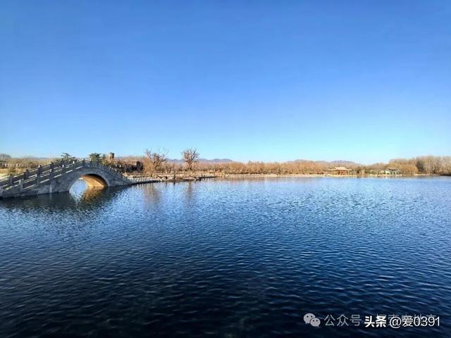 济源最美公园新春游园会开园基本确定！免费开放！