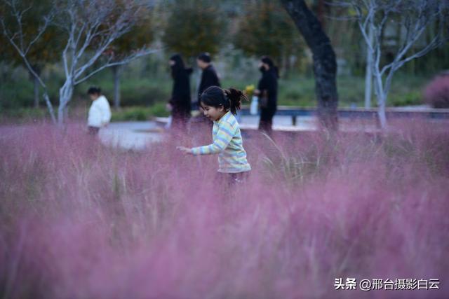 达活泉，这才是秋天该有的样子（图）