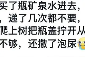 黔灵山的猴子素质不详但心地善良 网友：不吃嗟来之食，它们靠抢图片