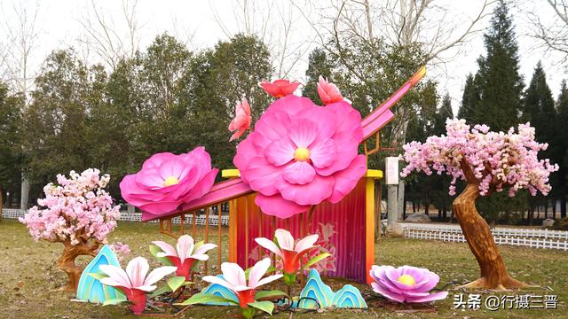 舜帝花海——邂逅一场别具一格的视觉盛宴