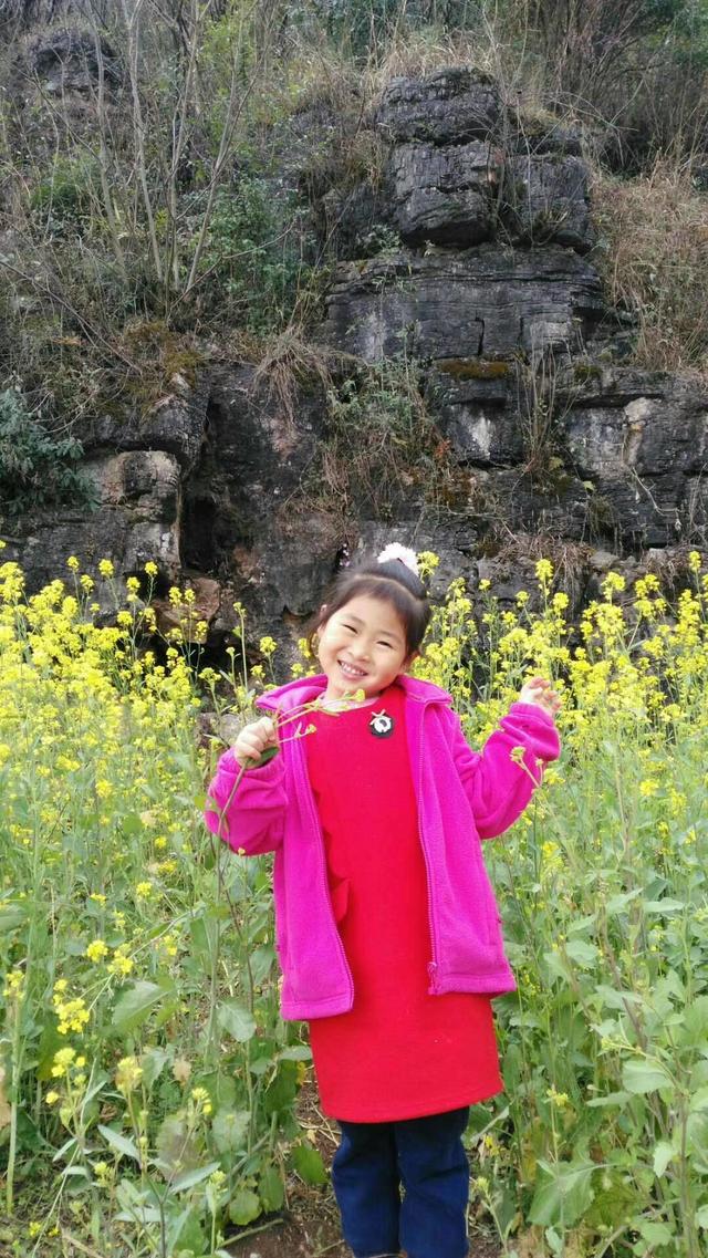 带着孙女去旅行（168）罗平油菜花海游