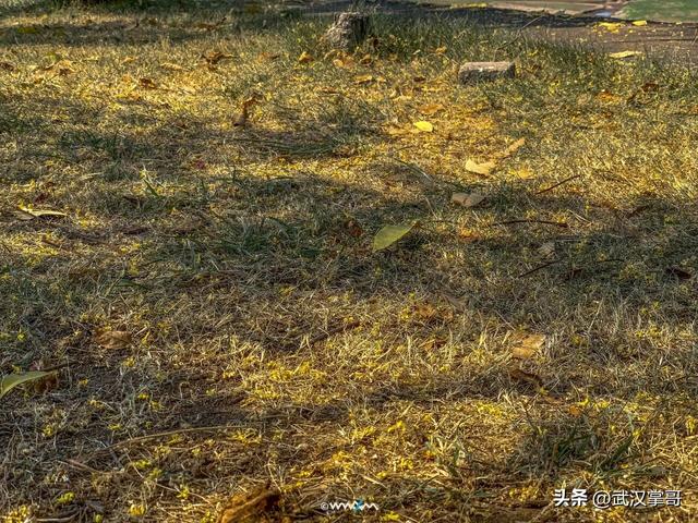 湖北哪个城市最没存在感？