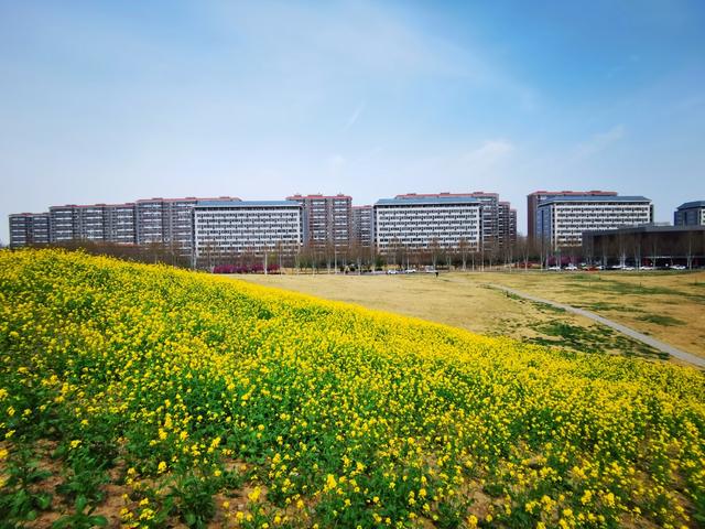 北京没想到，深圳也没想到，如今的中国贵州，已变身超级风口