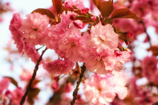 在两当，春天就要Color Walk→