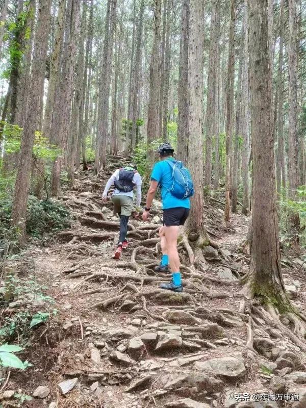 文 海：我的第一次越野跑山