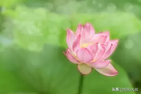 女人的性格好不好，看她穿的鞋就清楚了图片