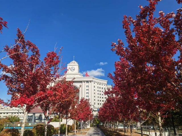 赶快收藏！长春赏秋攻略出炉→
