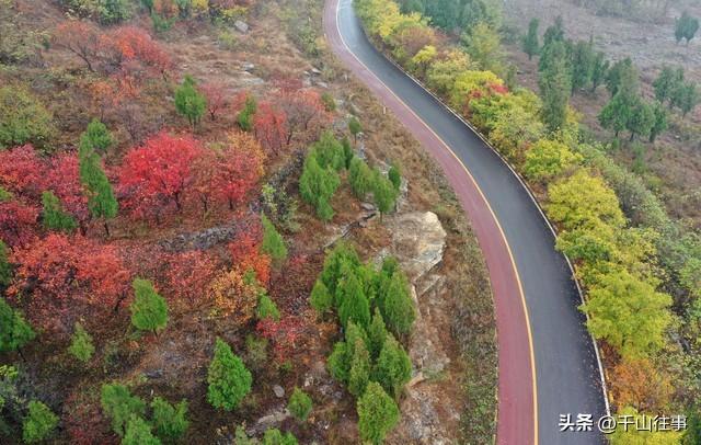 骑行=低碳+健康+美景+挚友，专家揭秘：退休后最该有的生活方式