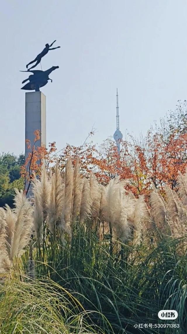 叶落临沂，步步皆是诗意画卷