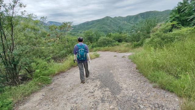 曼天垴，一座被遗忘的荒山