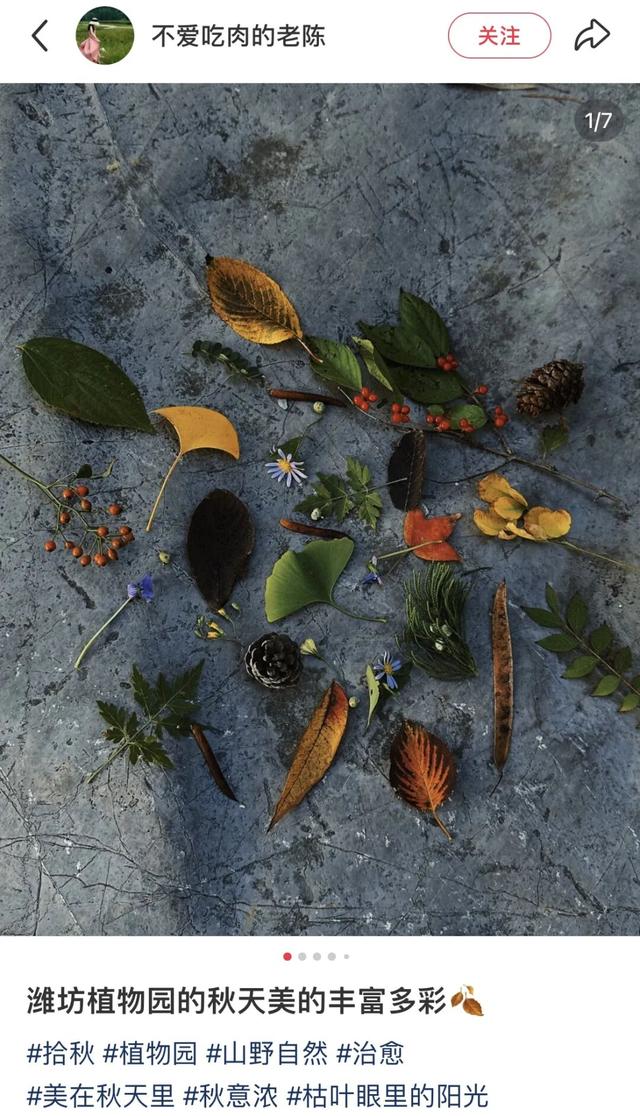 我捡，我捡，我在潍坊捡捡捡！