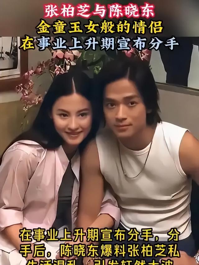 狐狸尾巴藏不住，撒谎成性、风流潇洒的张柏芝，被陈晓东撕下体面