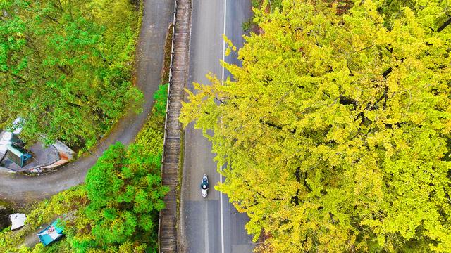 水城公路管理局 服务景区运营 赋能地方发展
