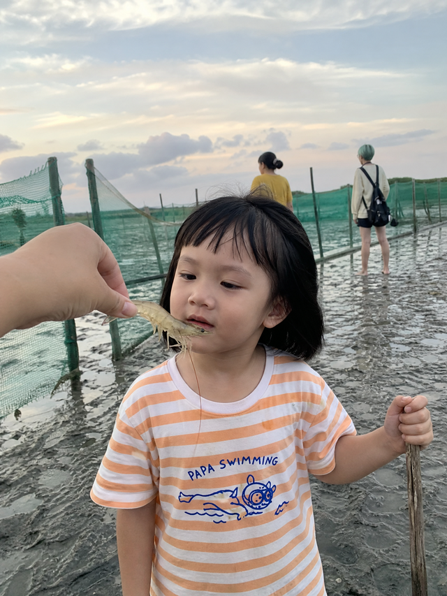 住银滩想晚上赶海？三步看懂时间和地点