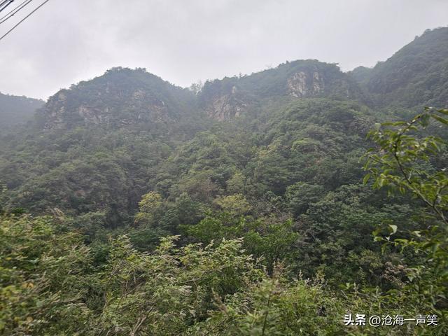 始祖山黑龙潭，水声潺潺，流水不绝，流泉飞瀑，甚是惹人喜爱！