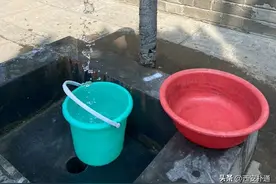 28岁，我在大兴善寺当义工图片